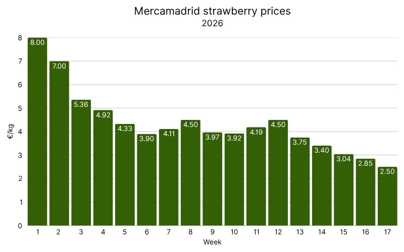 Strawberry prices in Mercamadrid, 2026 (8).jpg
